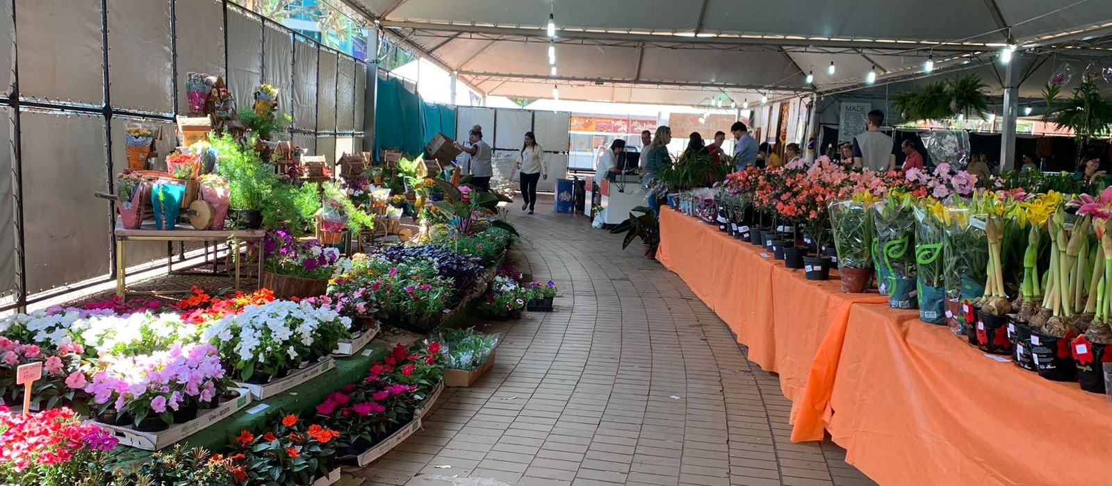 Feira de flores de Maringá começa nessa quinta (29)