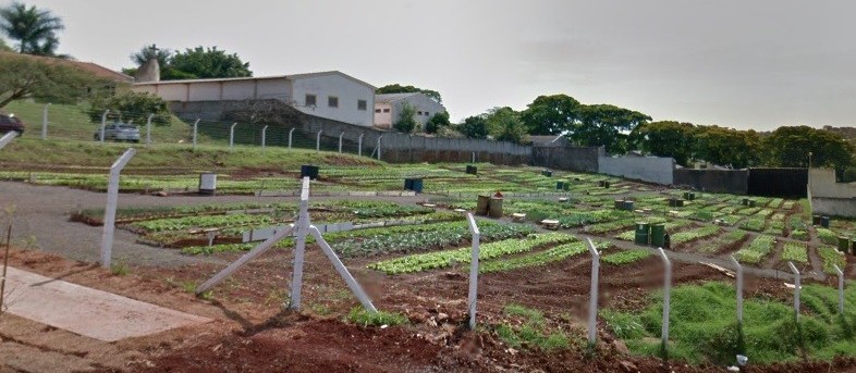 Ladrões invadem horta comunitária três dias seguidos em Maringá  