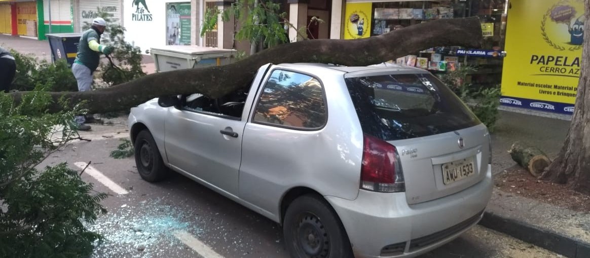 Galho cai sobre veículo em Maringá