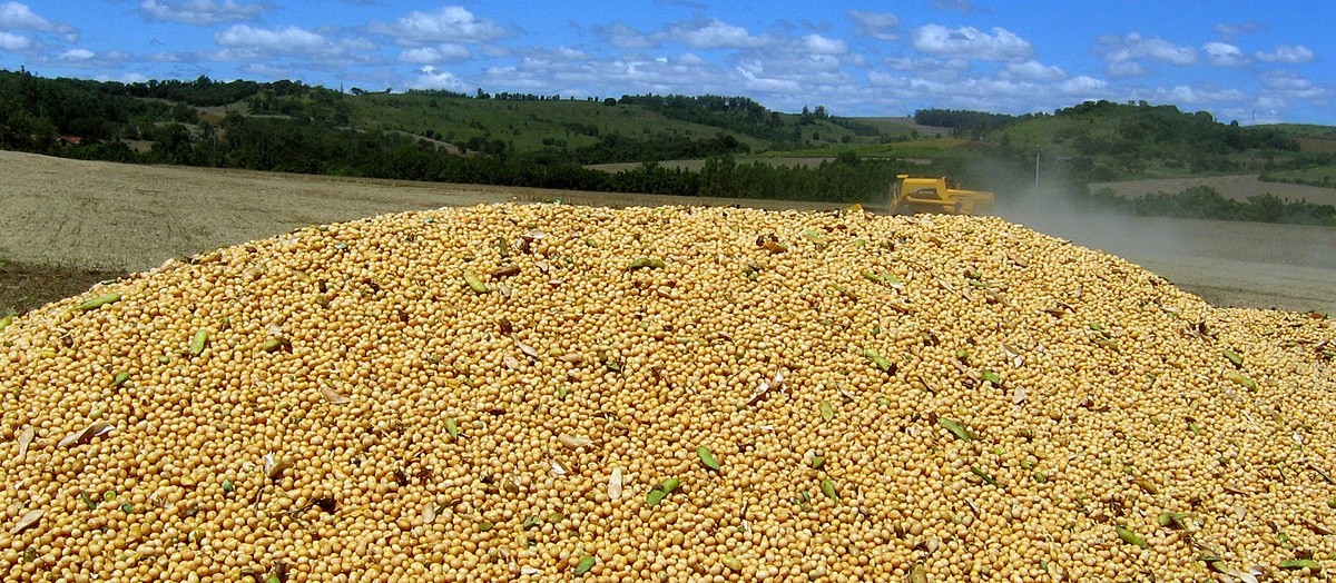 Preço da saca da soja custa R$ 74,50