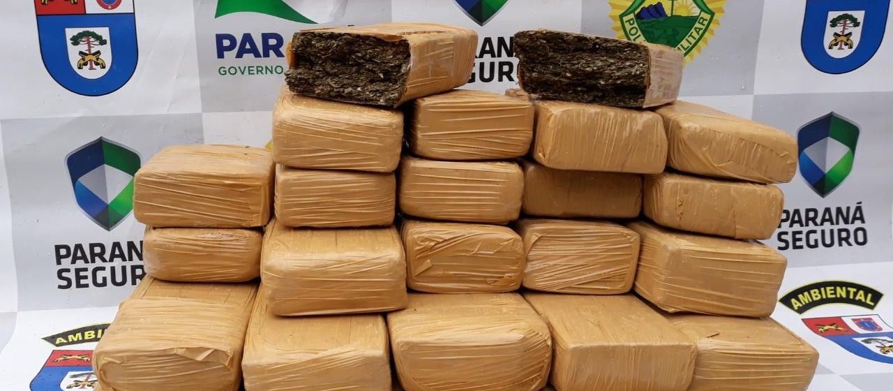 Homem é preso com 14 kg de maconha em ônibus de linha