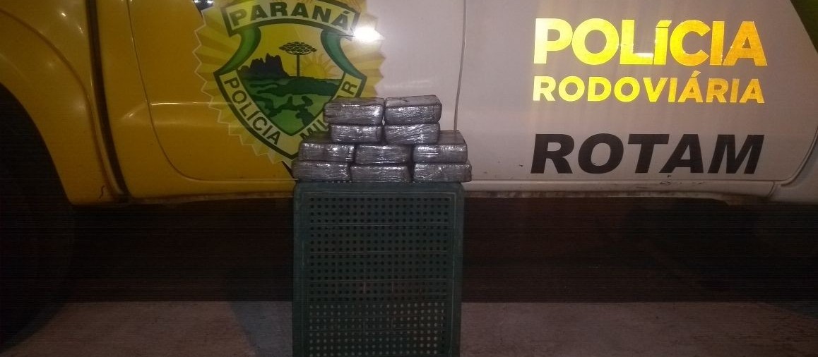 Mulher é presa com 13 kg de maconha em ônibus