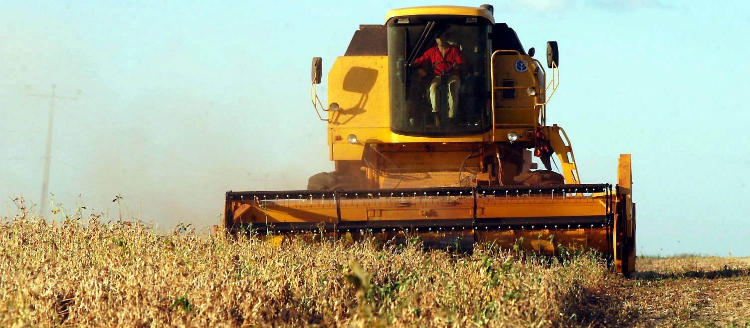 Valor bruto da produção deve crescer 12,4% e bater novo recorde em 2020, diz CNA