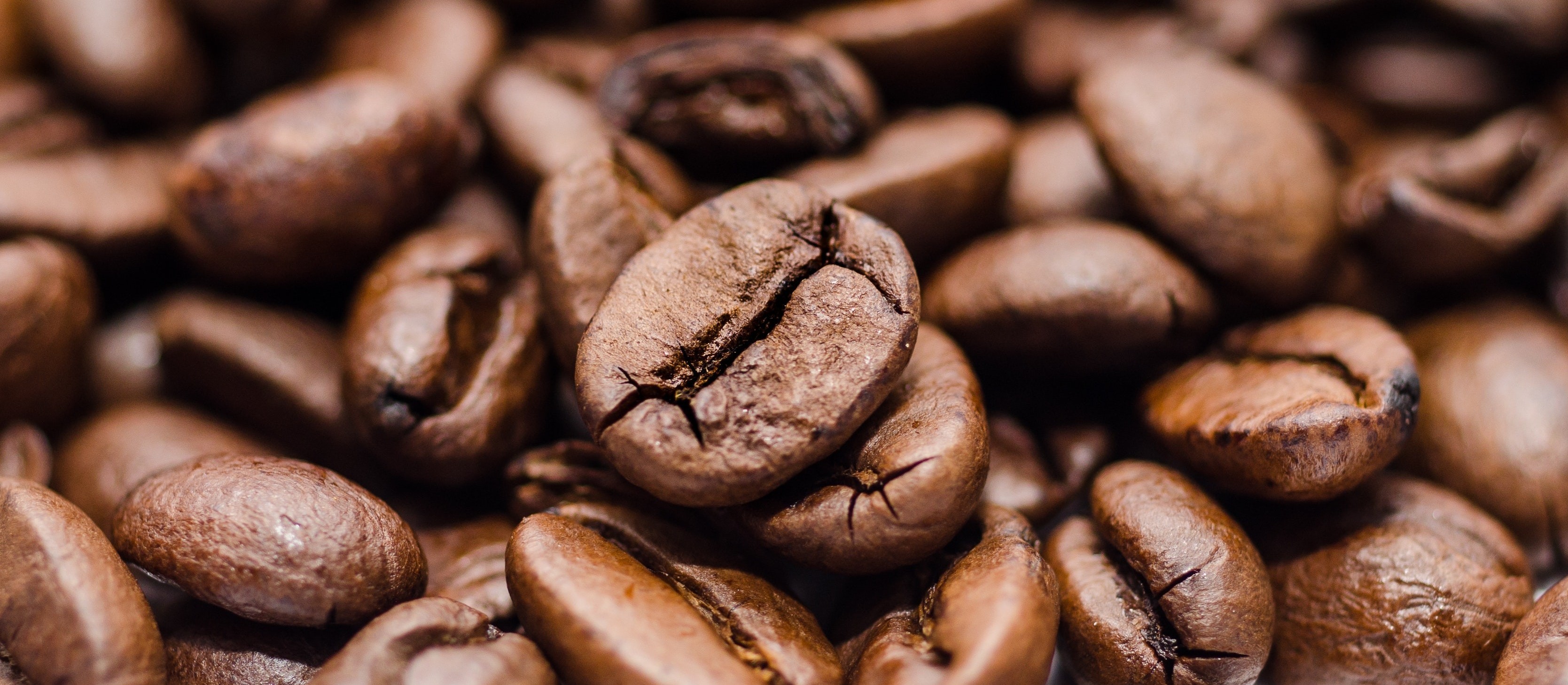 Café em coco custa R$ 6,50 kg em Maringá