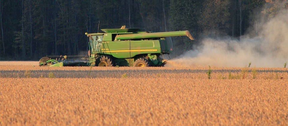 Agricultores aproveitam tempo firme para agilizar colheita na região