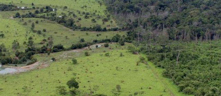 Prorrogado o prazo para adesão ao Programa de Regularização Ambiental 