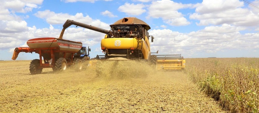 Agro brasileiro deve seguir crescendo em 2021, mas clima e dólar instável preocupam