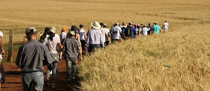 Caminhadas na Natureza terão 160 circuitos no Paraná este ano