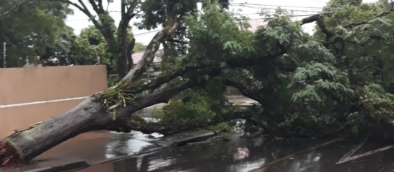  Chuva provoca pontos de alagamentos em Maringá