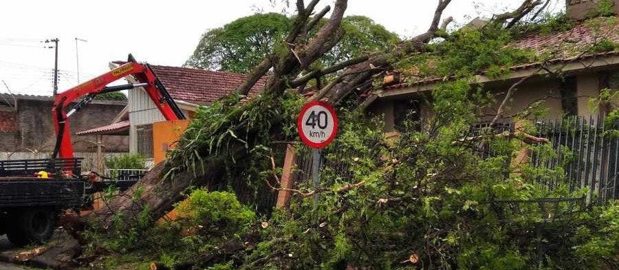 Temporal quebrou 38 postes em Maringá; 3,7 mil imóveis continuam sem energia