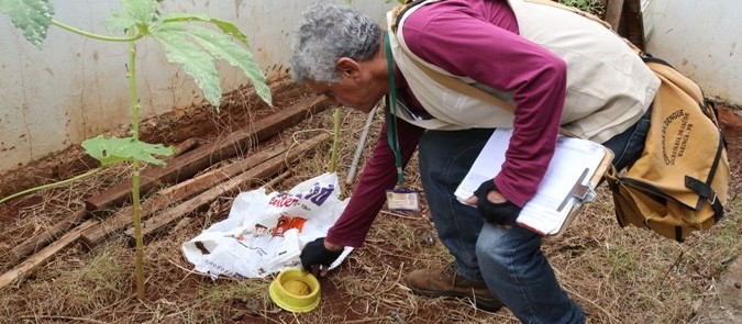 Sarandi, Maringá e Marialva realizam mutirão de combate à dengue