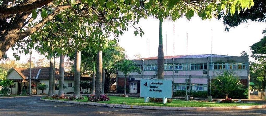 80% dos cursos das universidades estaduais do Paraná têm as melhores notas no Enade