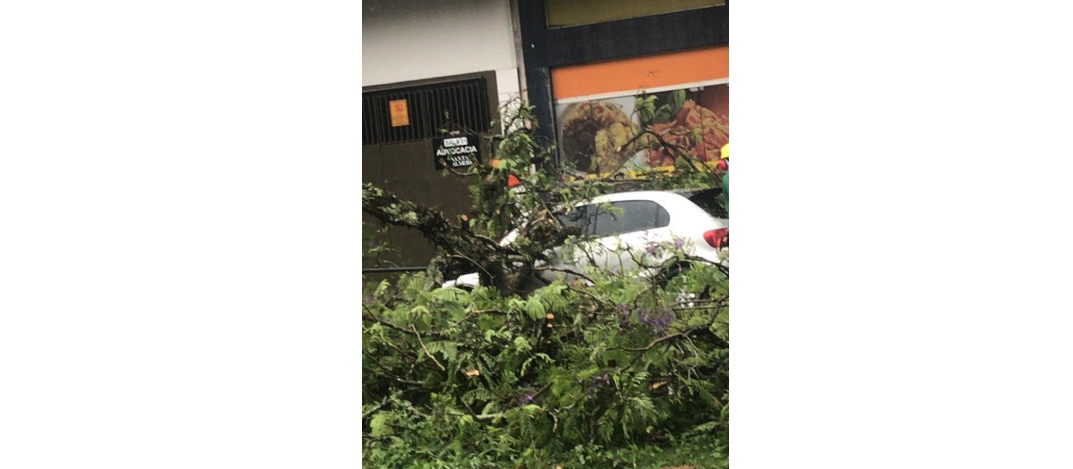 Copel atende mais de 200 ocorrências por causa do temporal