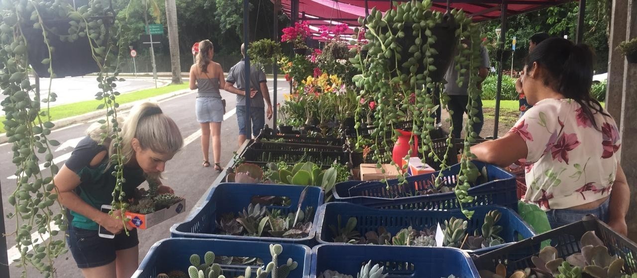 Feira das Flores retoma atividades com muitos clientes