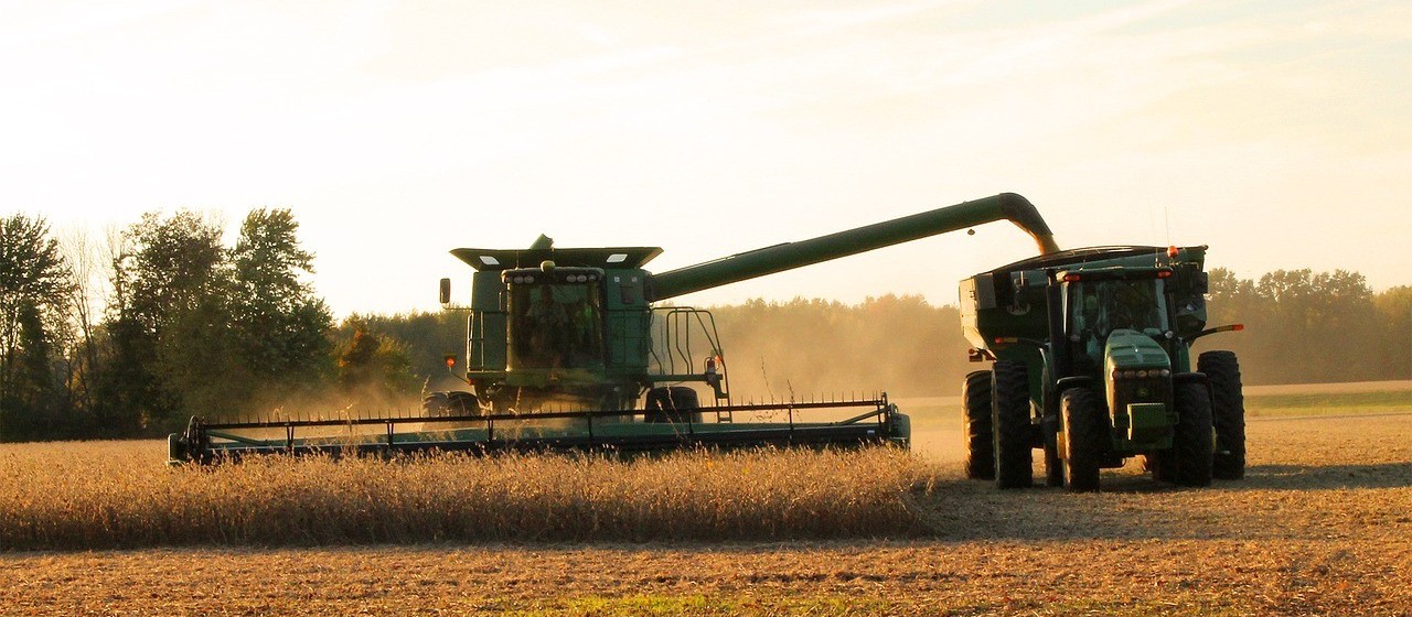 Produtores de soja do Brasil deverão aumentar a área plantada com soja em 3,8% na temporada 2020/21