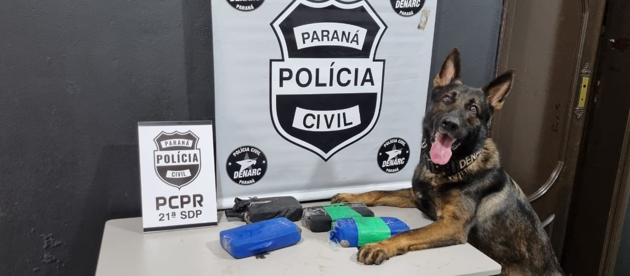 Com auxílio do cão farejador, Denarc apreende crack em fundo falso de veículo