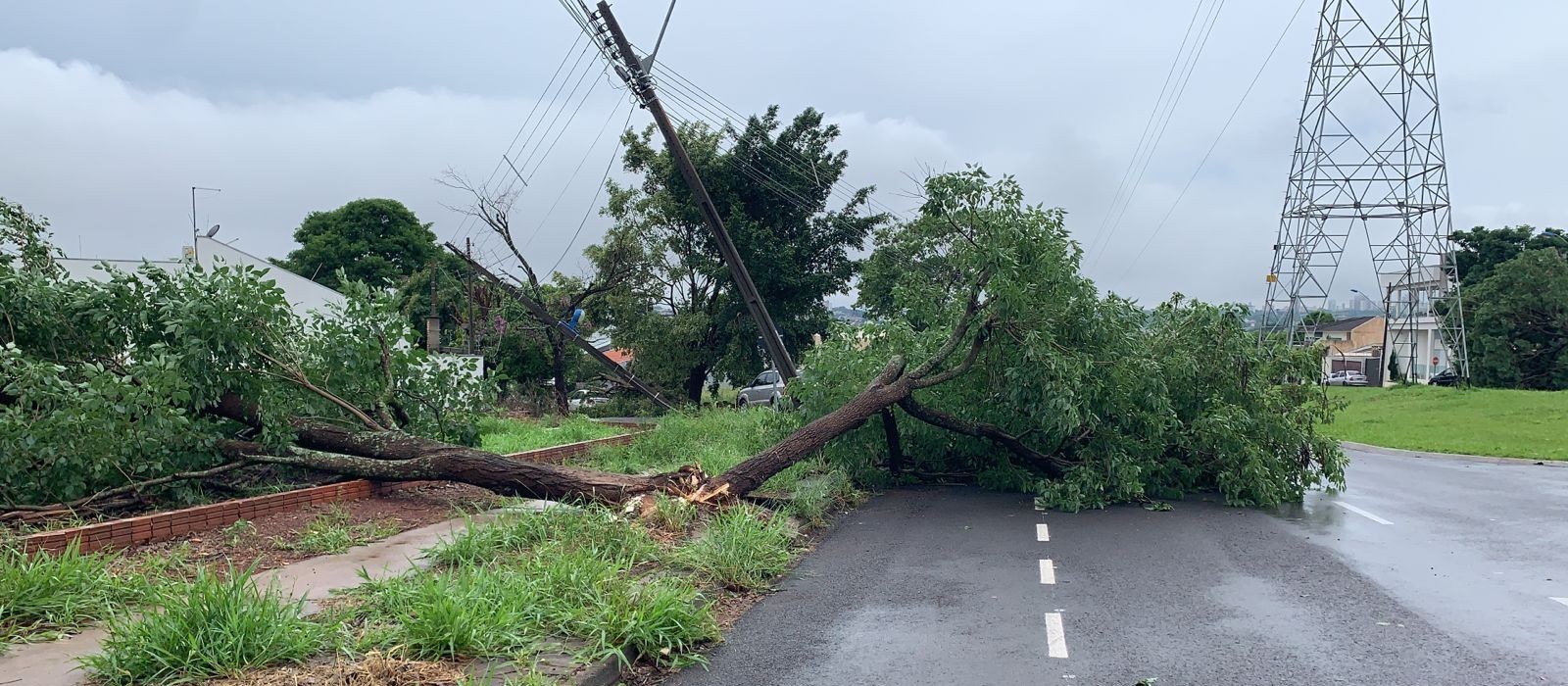 Com 3,5 mil imóveis sem luz, equipes ainda trabalham para recuperar danos causados por temporal em Maringá