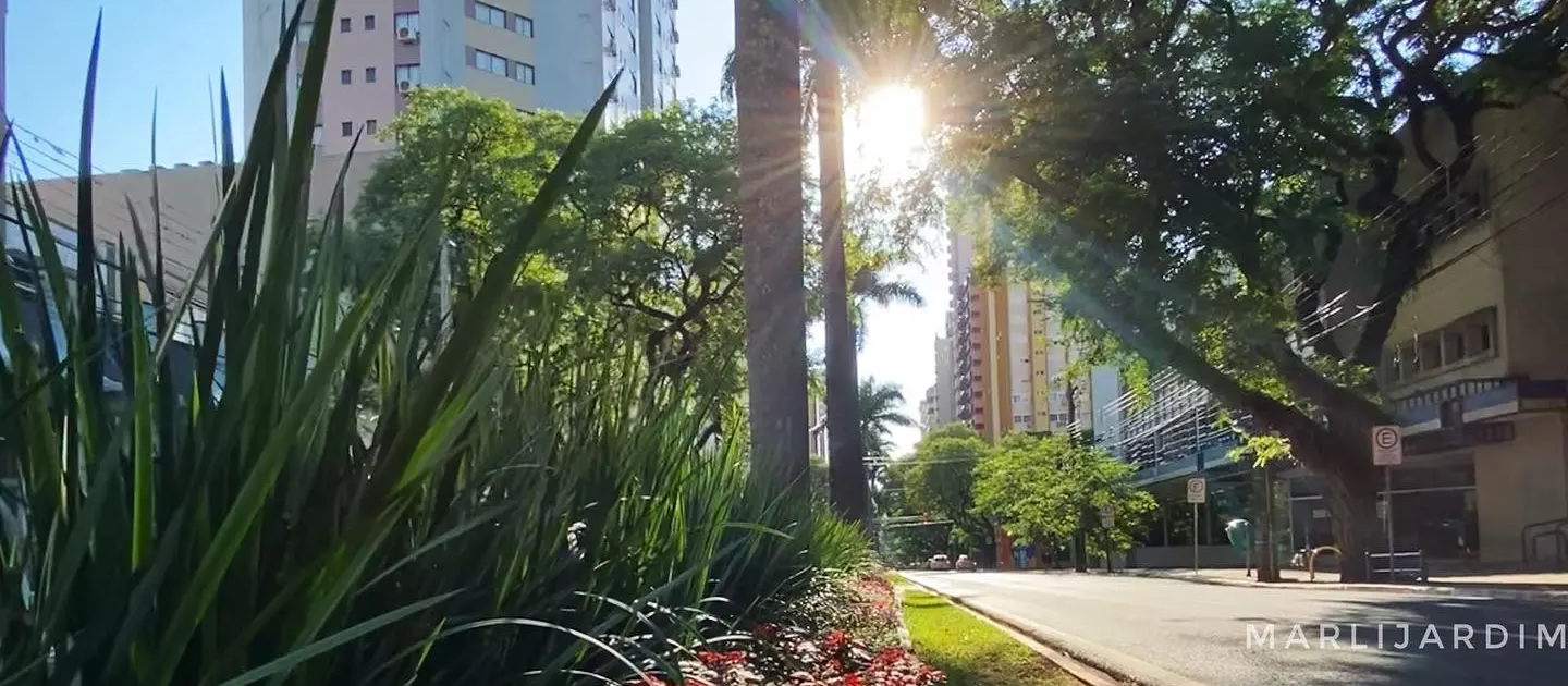 Com tempo firme e ensolarado, Maringá tem máxima de 27°C nesta terça-feira (19)