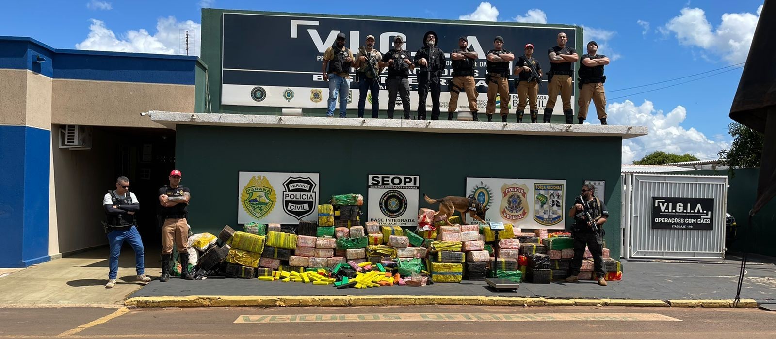 Denarc de Maringá apreende mais de 3,5 toneladas de maconha na região