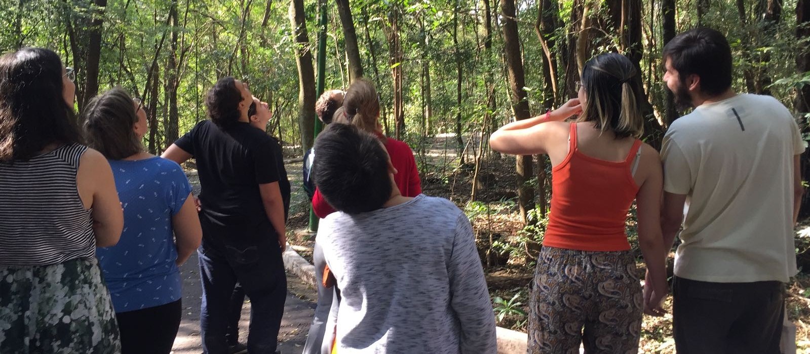 “Pássaringá” apresenta aves aos interessados em Maringá