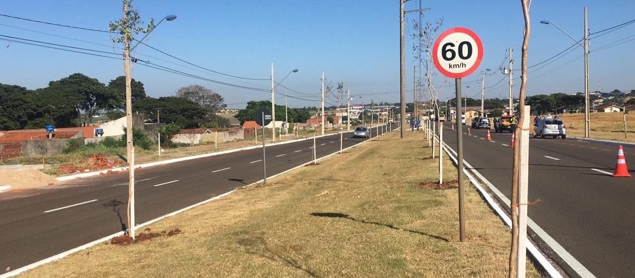 Plantio de mudas marca início das comemorações do aniversário da cidade