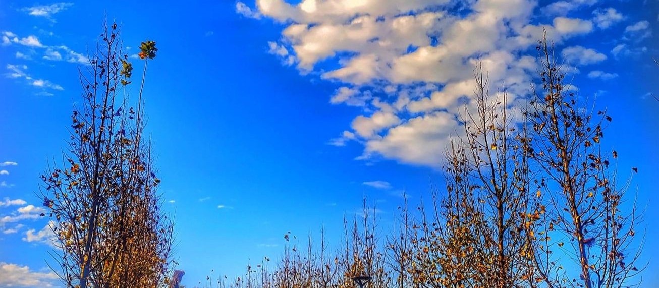 Tempo volta a ficar estável neste sábado (18) e temperaturas caem novamente em Maringá