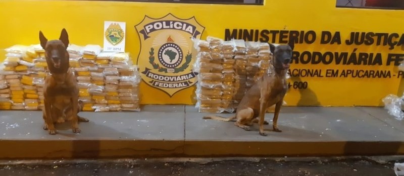 PRF apreende 159 quilos de cocaína e 108 de crack