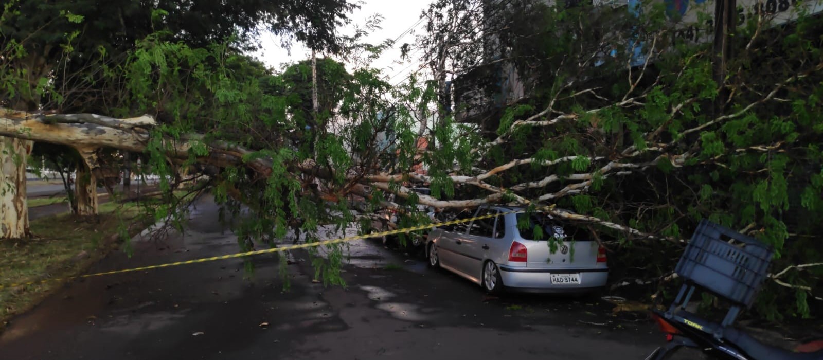 Chuva rápida causa estragos em Maringá 