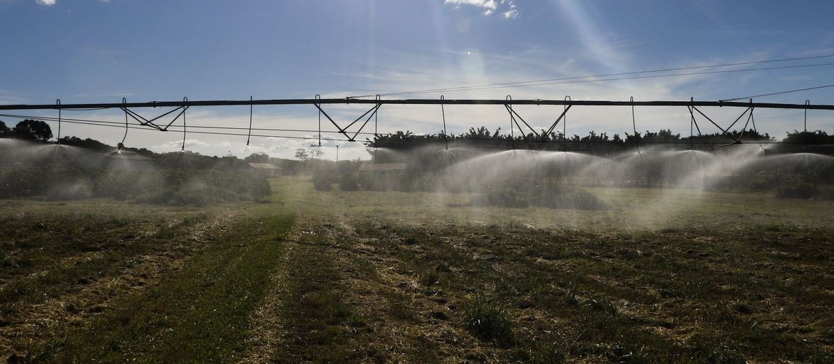 Valor Bruto da Produção (VBP) pode atingir R$ 1 trilhão em 2021