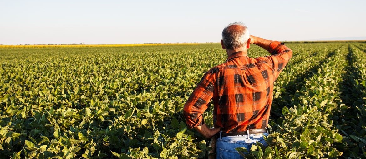 Comissão aprova novo prazo para regularização rural