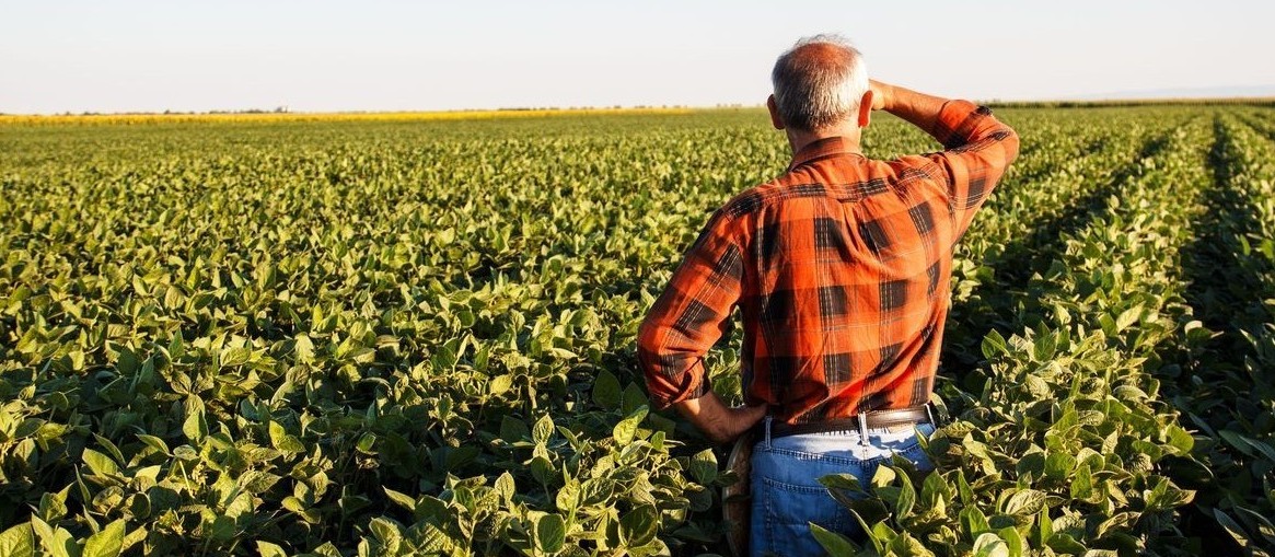 Nesta crise, no agro alguns setores levam uma 'pancada' e outros crescem