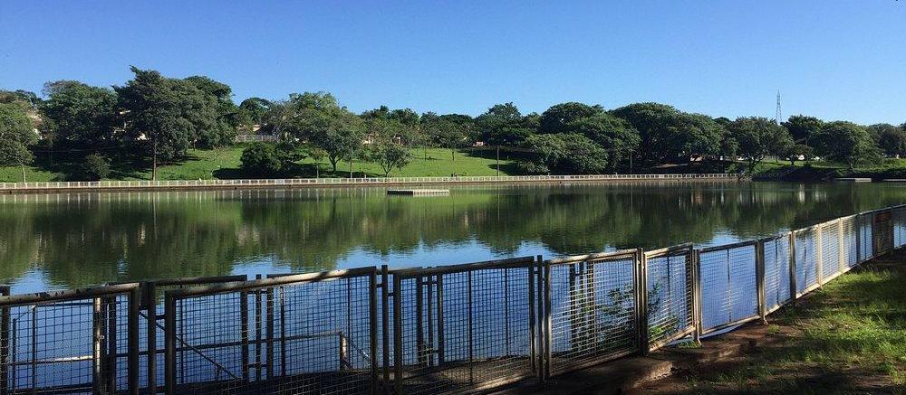 Maringá tem 20 bosques ou parques, muitos abertos à visitação pública