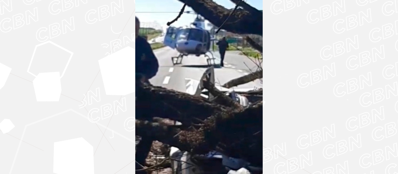 Árvore de grande porte cai sobre veículo na PR-317, carro ficou destruído