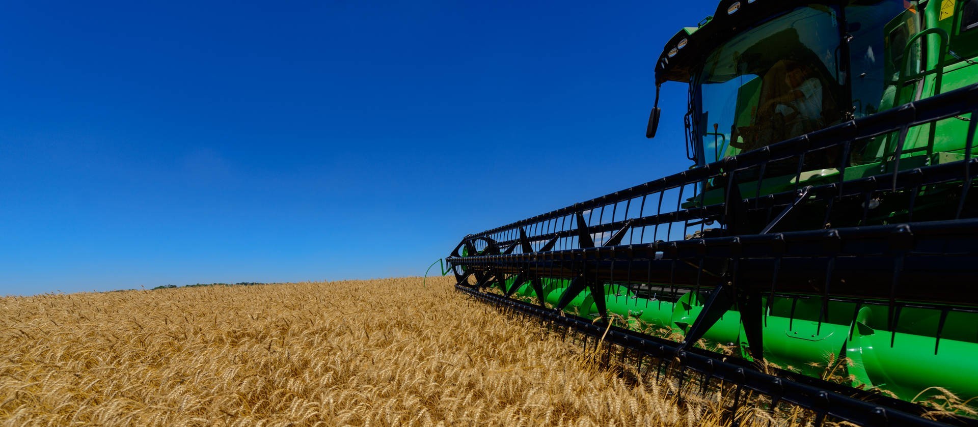 Cresce população ocupada no agronegócio, mostra estudo