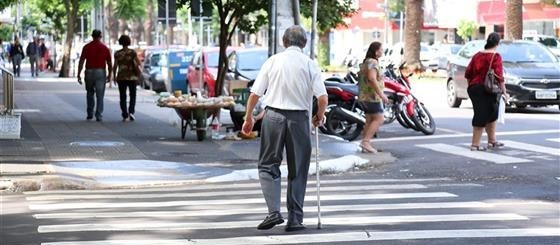 44 dos 139 atropelados neste ano em Maringá eram idosos