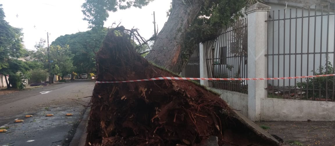 Temporal causa estragos em Maringá e deixa 24 mil imóveis sem luz