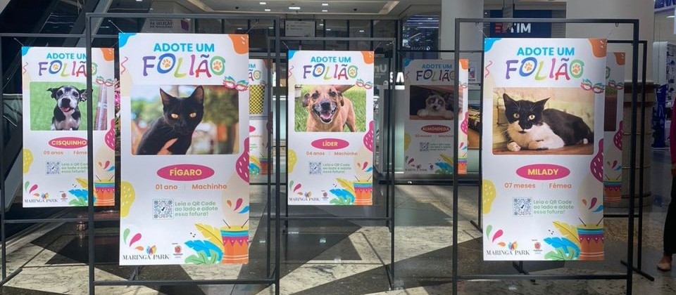 ‘Adote um Folião’ conta com 216 pets para adoção responsável