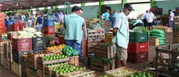 Ceasa de Maringá não abrirá no feriado