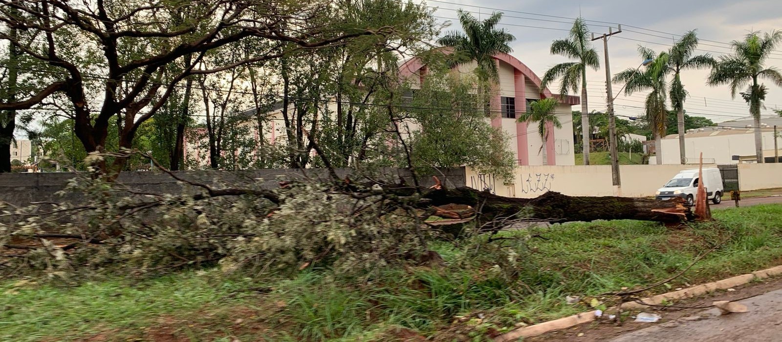 Temporal rápido deixa 30 mil imóveis sem energia e muitos estragos em Maringá