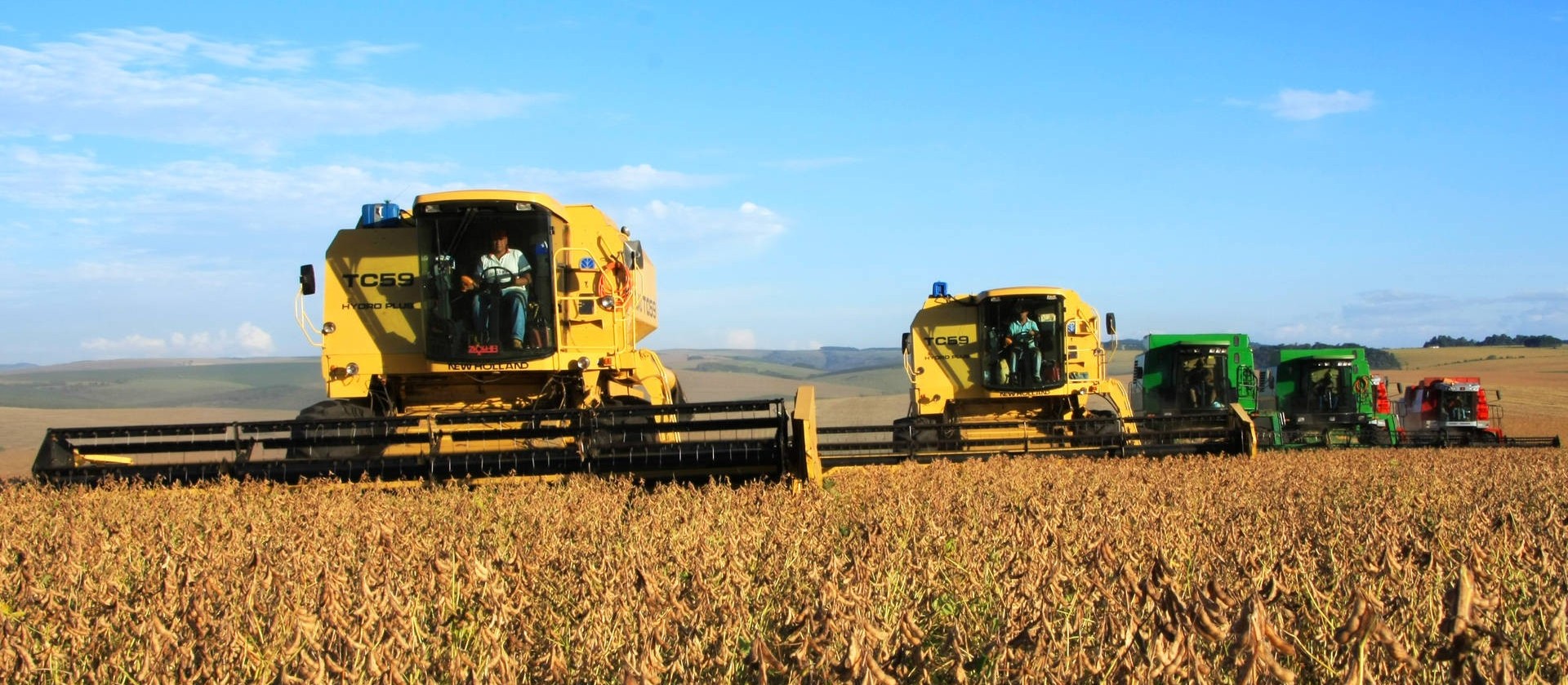 Soja custa R$ 71 a saca de 60 kg em Maringá