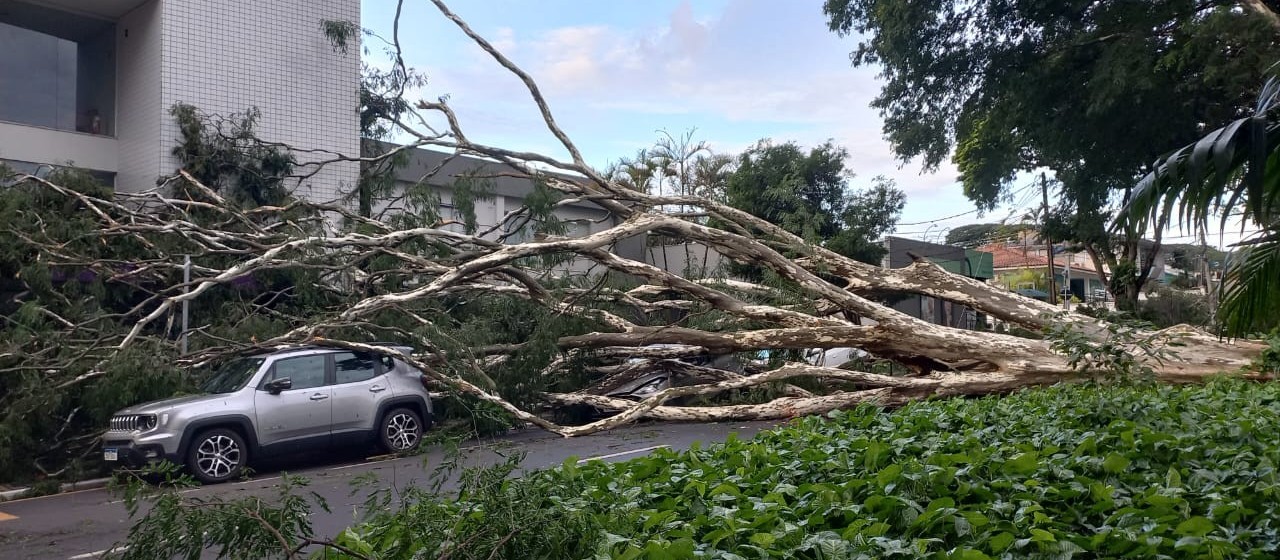 Saiba o que fazer se você teve algum prejuízo durante tempestade