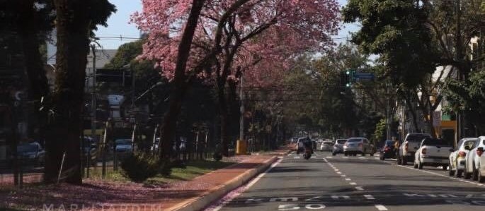 Quarta-feira (31) será de altas temperaturas em Maringá, aponta Simepar