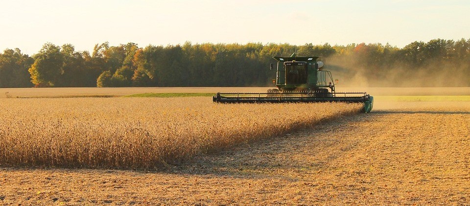 Preço da soja tem alta significativa na região de Maringá