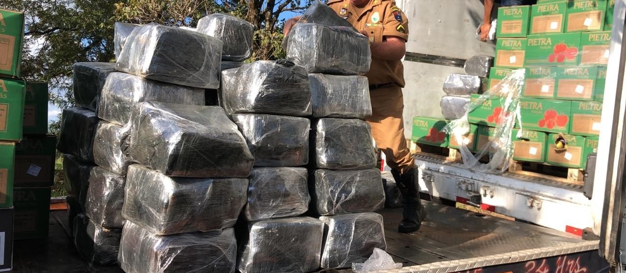 PRE apreende 948 quilos de maconha escondidos em carga de maçã