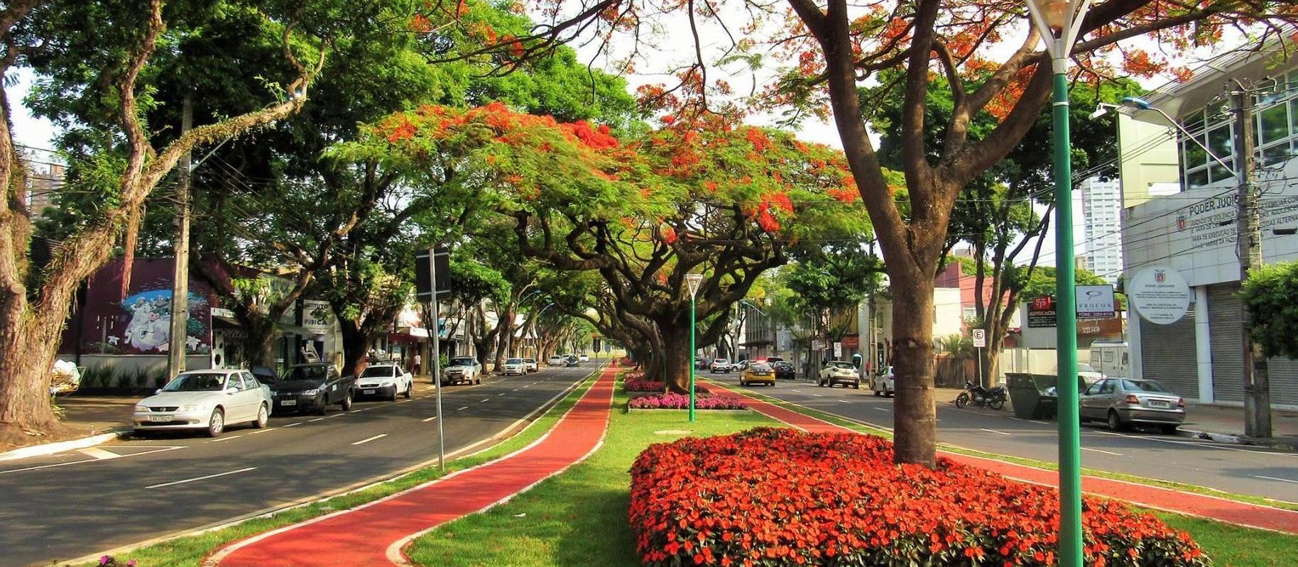 Sexta (25) será de tempo firme em Maringá; calor aumenta no fim de semana