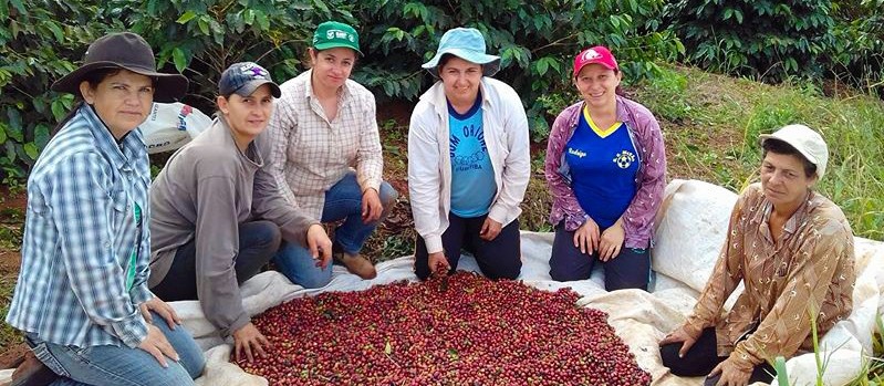 Plano Agro + Mulher incentiva a participação feminina em atividades agropecuárias