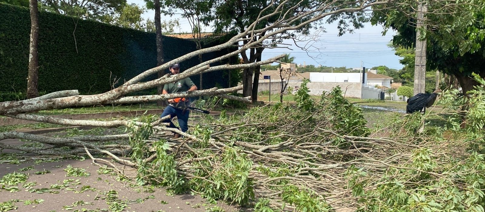 Temporal provoca estragos em Paranavaí nesta terça-feira (17)