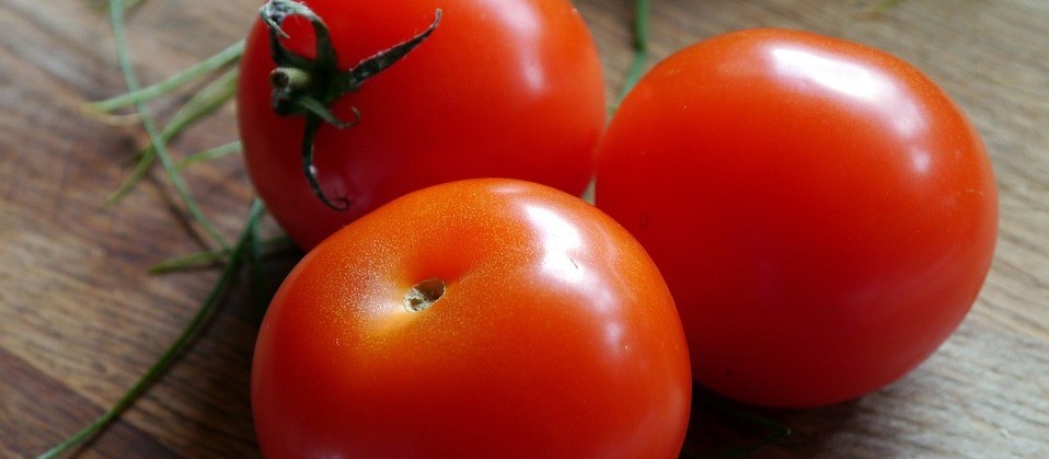 Muita chuva e pouca oferta faz preço do tomate subir