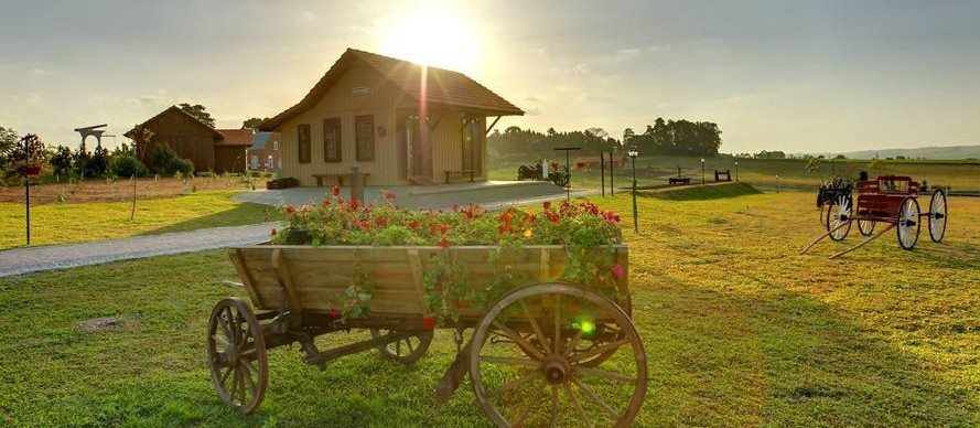 Plano de retomada prevê viagens de até 200 km