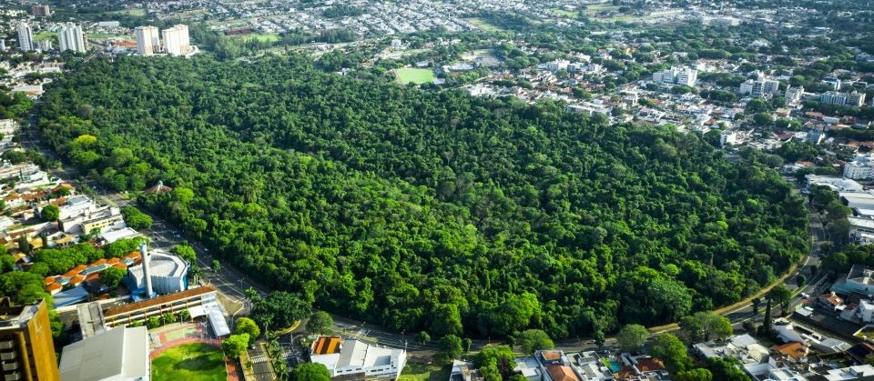 Semana do Meio Ambiente em Maringá começa nesta quinta-feira (2)